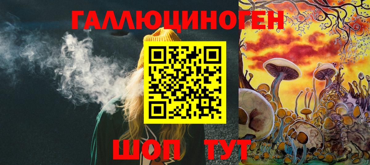 Псилоцибиновые грибы Psilocybe Карачаевск