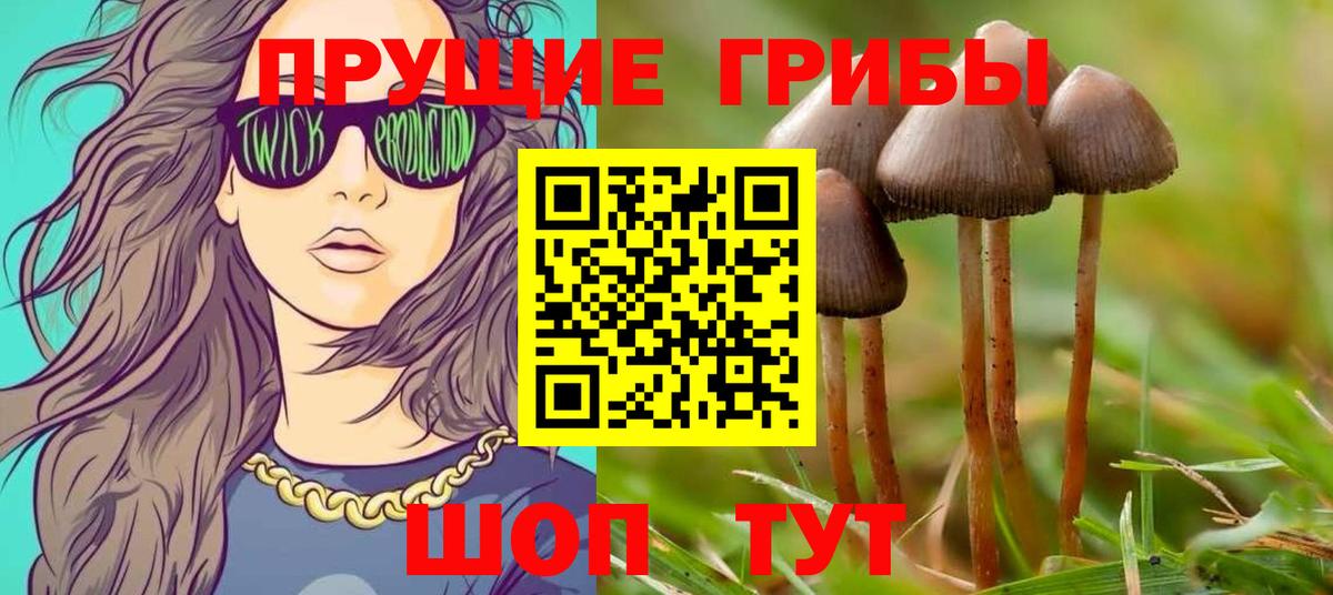 Псилоцибиновые грибы Psilocybe  Галлюциногенные грибы мицелий  Вход с VPN  Карачаевск 
