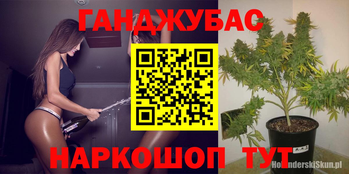 Бошки Шишки THC 21%  Вход с VPN  МАРИХУАНА конопля  Карачаевск 